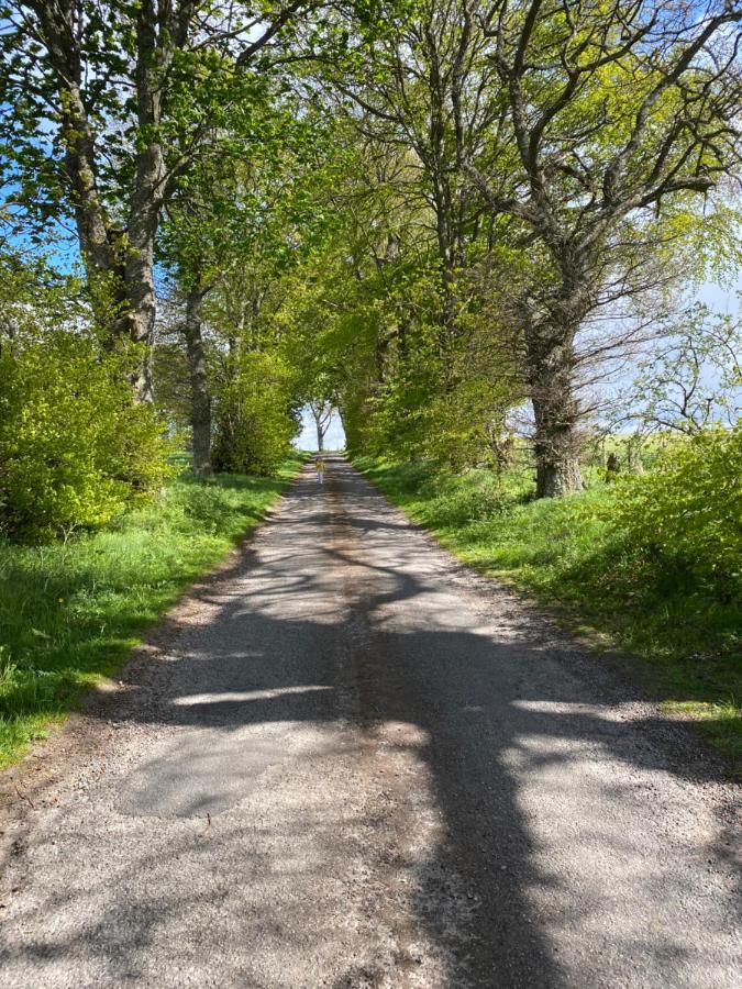 Druid House Lodge Inverness Luaran gambar
